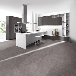 Porcelain tiles in the kitchen 60 by 60 photo