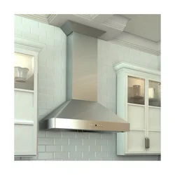 Plastic Kitchen Hood Photo