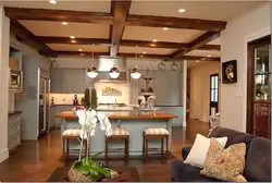 Şüaları ilə qonaq otağı mətbəx dizayn