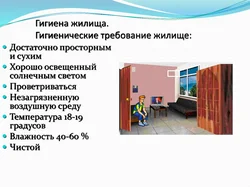 Санитарные требования к интерьеру кухни