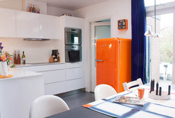 Refrigerator in the color of the kitchen photo
