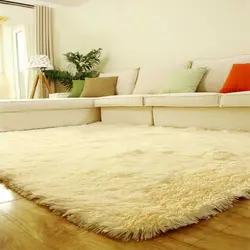 White carpets in the living room photo