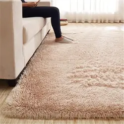 White carpets in the living room photo