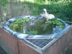 Pond baths photo