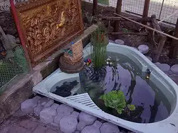 Ванны для пруда фото