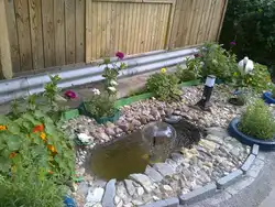 Ванны для пруда фото