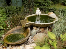 Pond baths photo