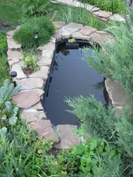 Pond baths photo