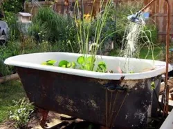 Pond baths photo