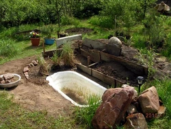 Pond baths photo