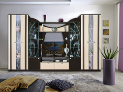 Inexpensive living room walls photo