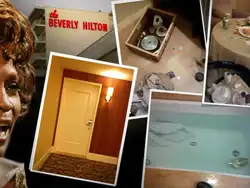 Photo of Houston in the bathroom