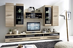 Modern modular living rooms photos