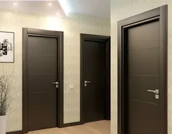Wenge doors in the hallway interior