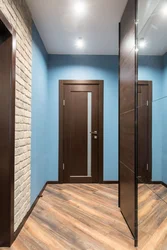 Wenge Doors In The Hallway Interior