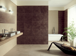 Porcelain tiles for baths photo