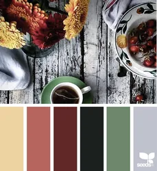 Color palette for kitchen interior