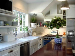 Bloom in the kitchen interior