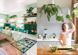 Bloom in the kitchen interior