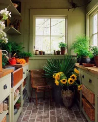 Bloom in the kitchen interior