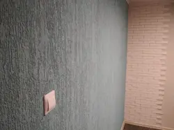 Qonaq Otağının Içərisində Qabıq Böcəyi