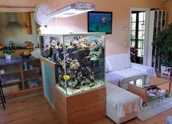 Kvartiraning ichki qismidagi akvarium bo'limi fotosurati