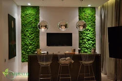 Moss in the kitchen interior