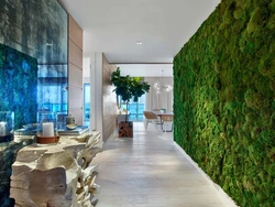 Moss in the kitchen interior