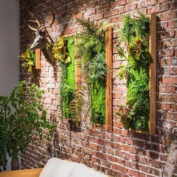 Moss in the kitchen interior