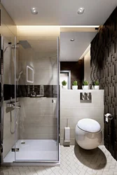 Design Of A Combined Bathroom With Shower Partition