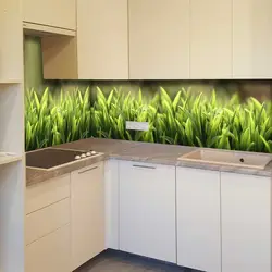 Glass apron for the kitchen photo in the interior