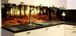 Glass apron for the kitchen photo in the interior