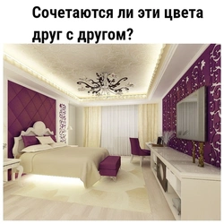 Жатын бөлмесінің фуксиясының фотосуреті