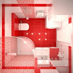 Bathroom design 2 colors