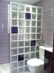 Bathtub with glass block partition photo