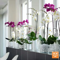 Artificial Flowers In Pots In The Kitchen Interior