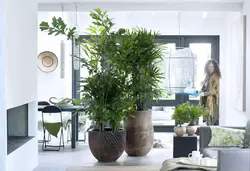 Artificial flowers in pots in the kitchen interior