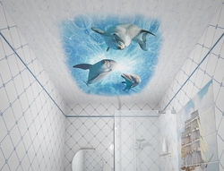 Bath ceiling 3D photo