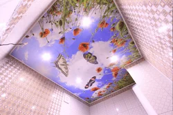 Ванна төбесінің 3D фотосуреті