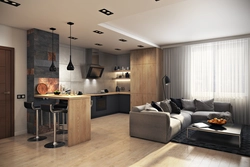 Photo Studio Apartment With Kitchen Design In Modern Style