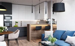 Photo Studio Apartment With Kitchen Design In Modern Style