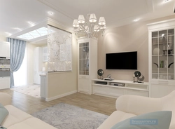 Living room interior 24 m