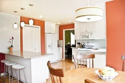 Terracotta color combination in the kitchen interior