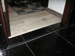Threshold to the bathroom photo