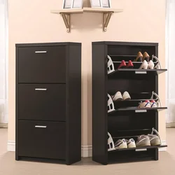 Shoe rack design for the hallway in a modern style