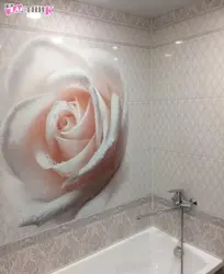 Катэгорыя 