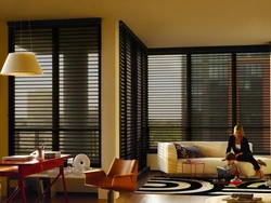 Apartment window blinds photo