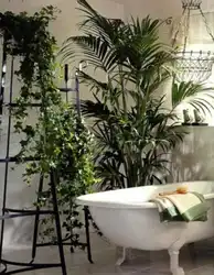 Vanna otağında bitkilər foto
