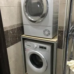 Хушккунак дар мошини ҷомашӯӣ дар акси ҳаммом