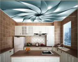 What Kind Of Panels For The Kitchen On The Ceiling Photo